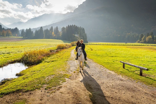 Passeggiata a Cavallo nelle Dolomiti di Brenta: Sentieri e Dolce Merenda in Rifugio
